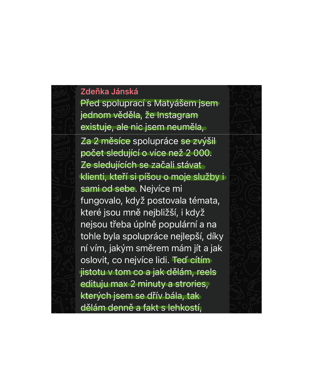 Recenze Zdeňka Jánská