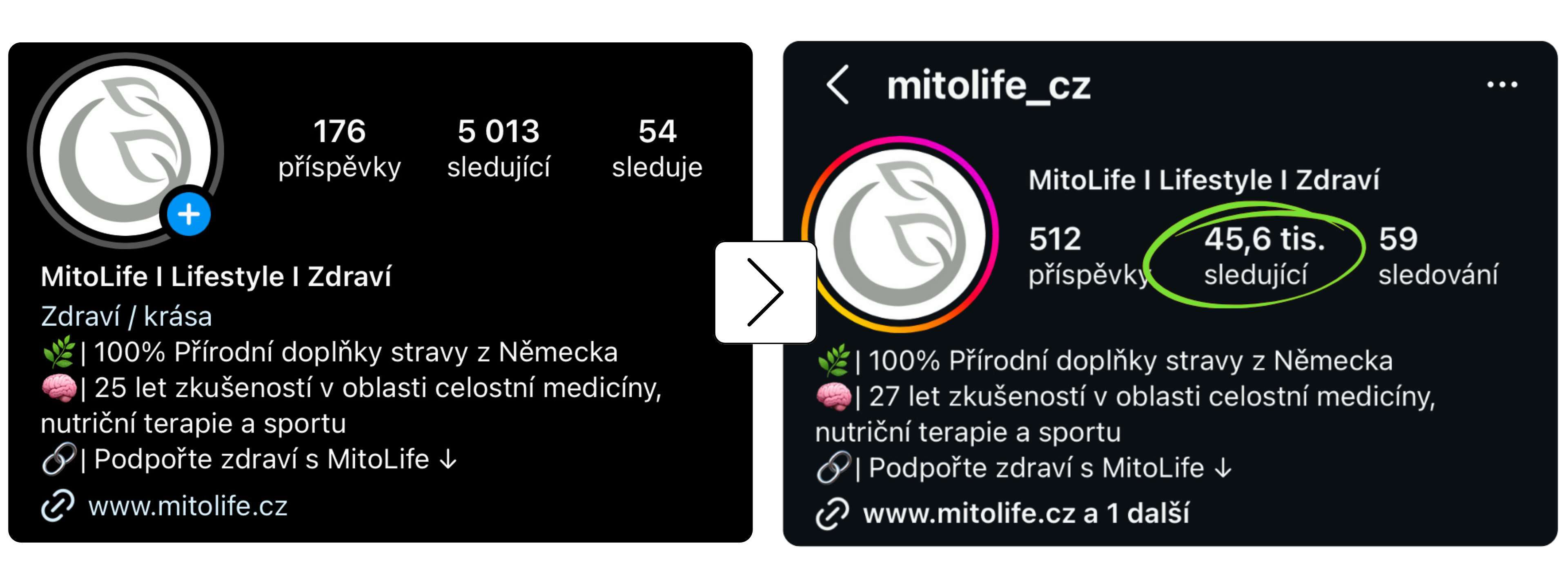 Výsledek klienta 6
